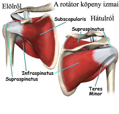 Mi a rotátor köpeny, és miért fáj?